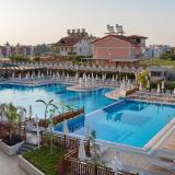 Seashell Vega, Bild 2