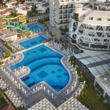 Seashell Vega, Bild 3