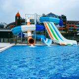 Lonicera Premium, Bild 9