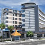 Lonicera Premium, Bild 10