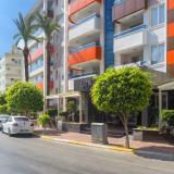 Lonicera City, Bild 3