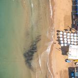 Calyptus Kirman Premium, Bild 3