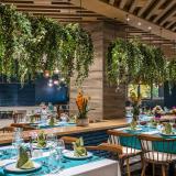 Calyptus Kirman Premium, Bild 6