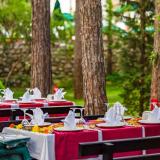 Gypsophila Club Marine, Bild 7