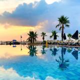 Gypsophila Club Marine, Bild 3