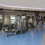 Sherwood Exclusive Lara, Bild 9