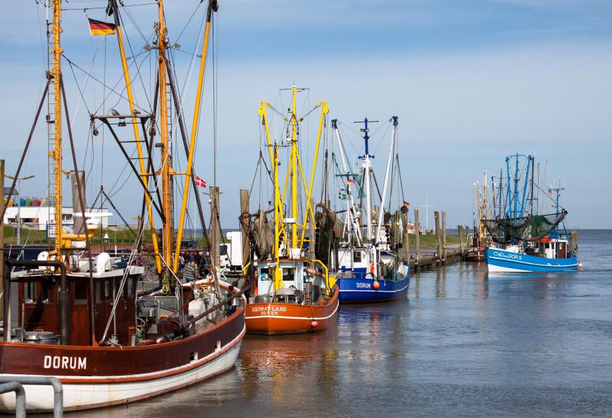 3 Sterne Familienhotel: Cuxland Ferienpark - Dorum, Niedersachsen, Bild 6