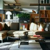 The Cambrian, Bild 2