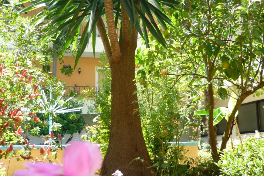 3 Sterne Hotel: Alkionis - Moraitika, Korfu, Bild 3