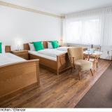 Ellenzer Goldbäumchen, Bild 4