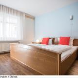 Ellenzer Goldbäumchen, Bild 7