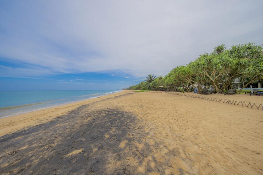 4 Sterne Hotel: Temple Tree Resort & Spa - Induruwa, Südprovinz, Bild 3