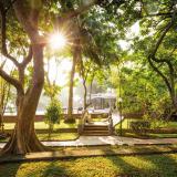 Siddhalepa Ayurveda Health Resort, Bild 8