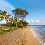 Cinnamon Bey, Bild 10