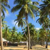 5 Sterne Hotel: Karpaha Sands, Kalkudah, Ostprovinz