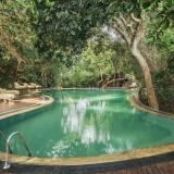 Uga Jungle Beach, Bild 3