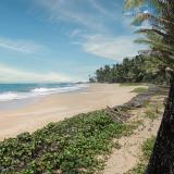 Lanka Princess, Bild 9