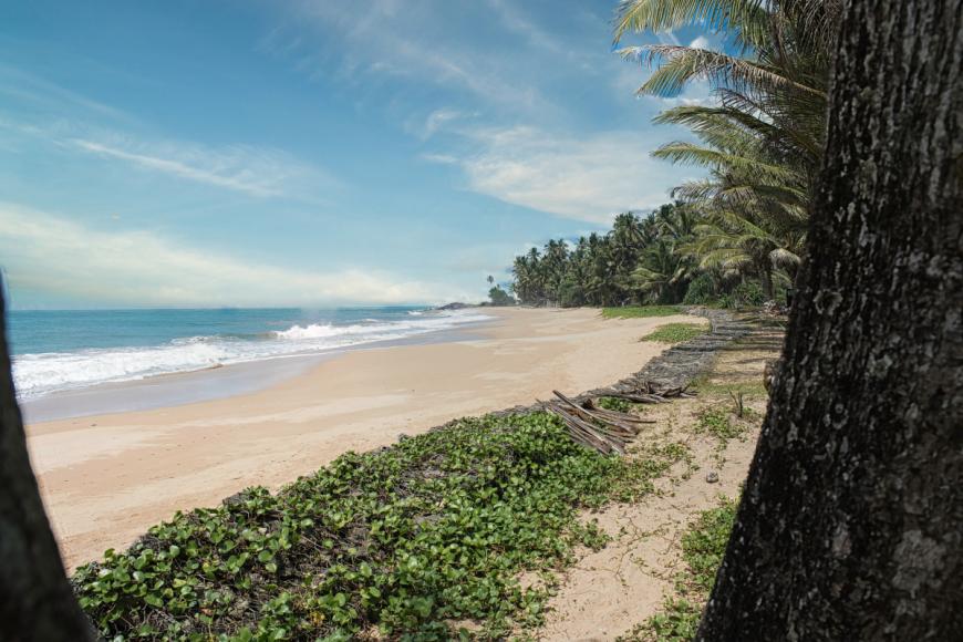 4 Sterne Hotel: Lanka Princess - Beruwela, Westprovinz, Bild 9