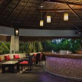 The Reef Playacar, Bild 4