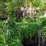 The Reef Playacar, Bild 5