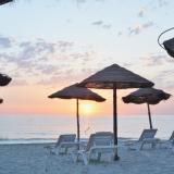 Venice Beach, Bild 3