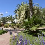 Djerba Resort, Bild 4