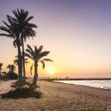 Djerba Castille, Bild 10