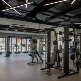 The St. Regis Marsa Arabia Island, The Pearl Qatar, Bild 8