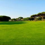 Aparthotel Oceanus, Bild 10