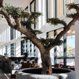 AP Cabanas Beach and Nature, Bild 6