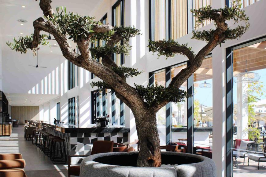 4 Sterne Hotel: AP Cabanas Beach and Nature - Tavira, Algarve, Bild 6