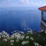 Jardim Atlantico, Bild 9