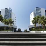 VIDAMAR Resorts Madeira, Bild 9