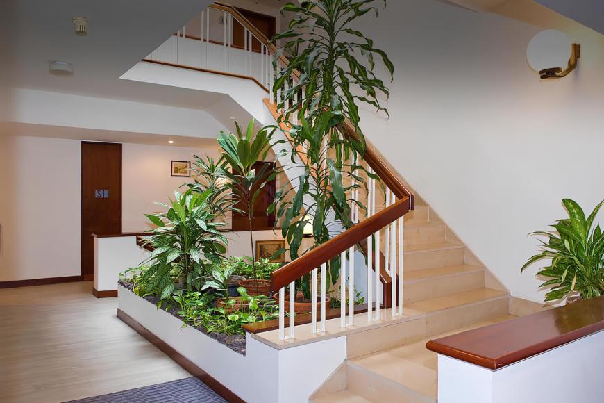 3 Sterne Hotel: Aparthotel Imperatriz - Funchal, Madeira, Bild 8