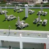 Fergus Cactus Garden, Bild 8