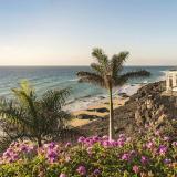 Royal Palm Resort & Spa - Adults Only, Bild 2