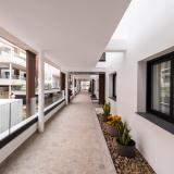 Coral Cotillo Reef, Bild 5