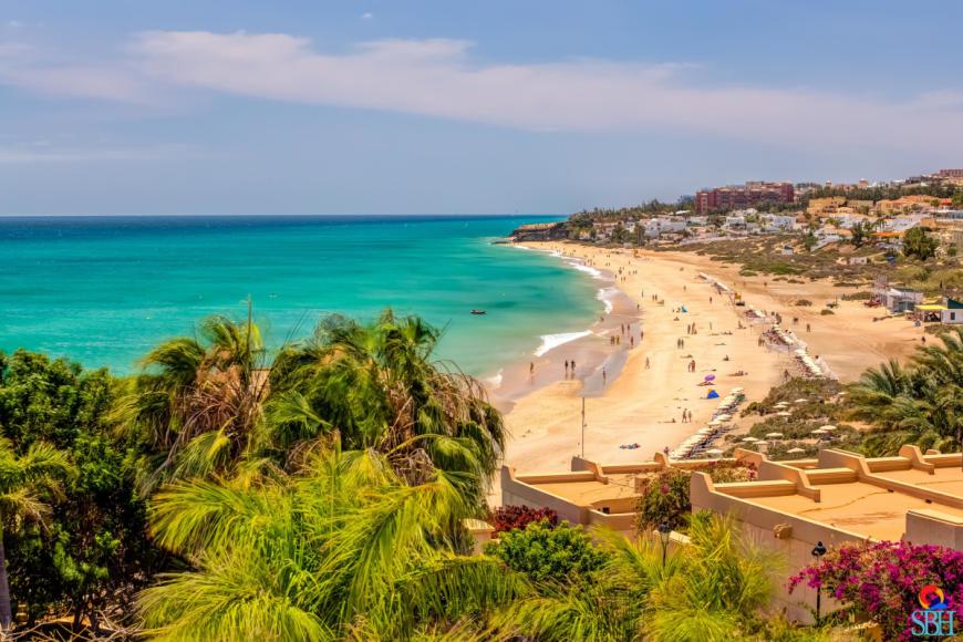 4 Sterne Hotel: SBH Taro Beach - Costa Calma, Fuerteventura (Kanaren), Bild 3