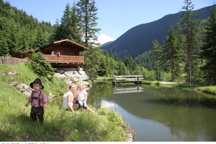 4 Sterne Hotel: Gut Raunerhof - Pichl bei Schladming, Steiermark, Bild 2