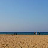 Vardis Olive Garden, Bild 5 ansehen Vardis Olive Garden, Bild 5