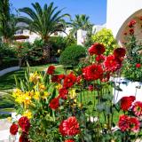 3 Sterne Hotel: Papadakis, Georgioupolis, Kreta