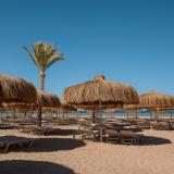 Jaz Elite Asteria, Bild 2