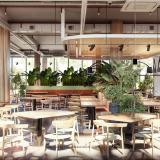 The Kaktus Soma Bay, Bild 4