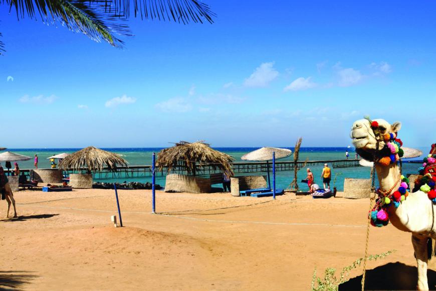 4 Sterne Hotel: Cook's Club El Gouna - Adults Only - El Gouna, Rotes Meer, Bild 5