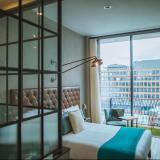 Arlo Williamsburg, Bild 5