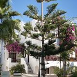 Veggera Hotel, Bild 3