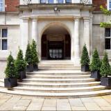 The Wellington by Blue Orchid Hotels, Bild 9