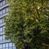 Dom Carlos Park, Bild 8