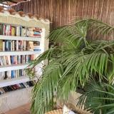 Alsol Nogal - Adults Only, Bild 9