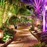 Parque Tropical, Bild 5